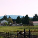Property From Front Gate on Road