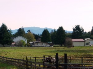 Property From Front Gate on Road