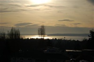 Watermark Puget Sound View