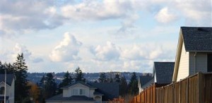 Look at the View!