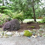 Front landscaping