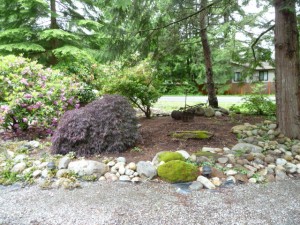Front landscaping