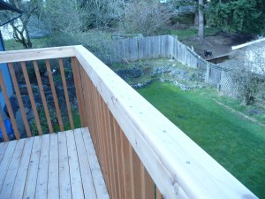 Peek down into the yard