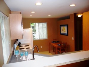 kitchen from dining